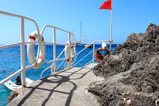 九游娱乐APP-海湾者未来青训体系逐渐完善，海湾技术