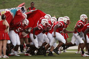 九游网-球迷助威声点燃比赛氛围，球迷助威口号